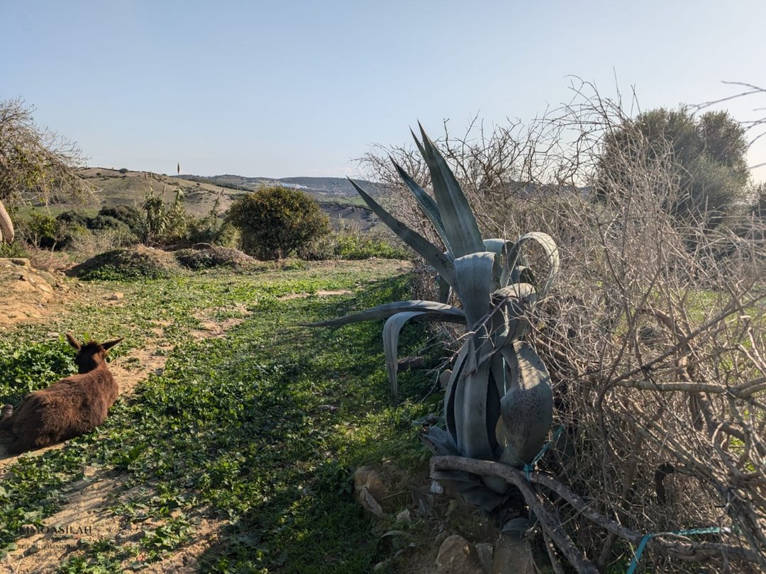 Titled land for buy for house construction - Photo 3