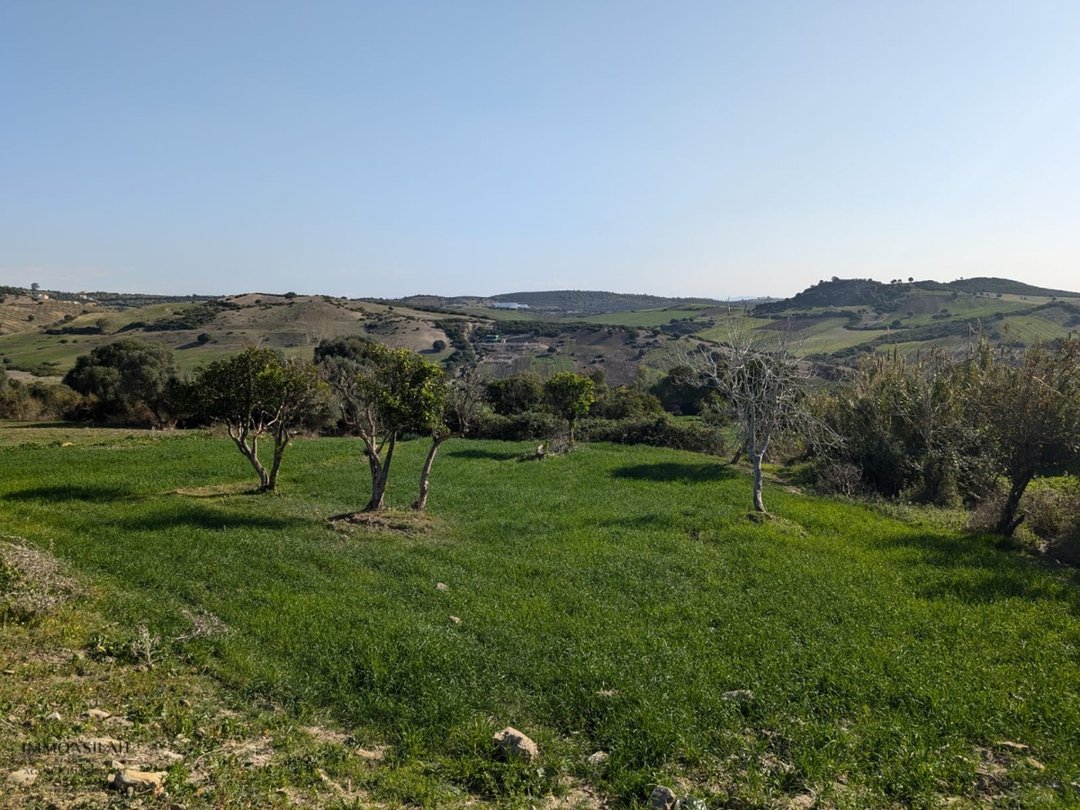 Titled land for buy for house construction - Photo 1