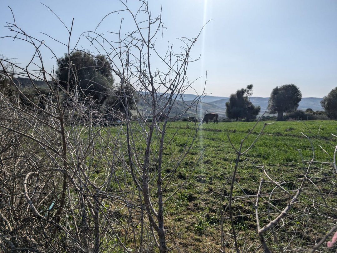 Titled land for buy for house construction - Photo 2