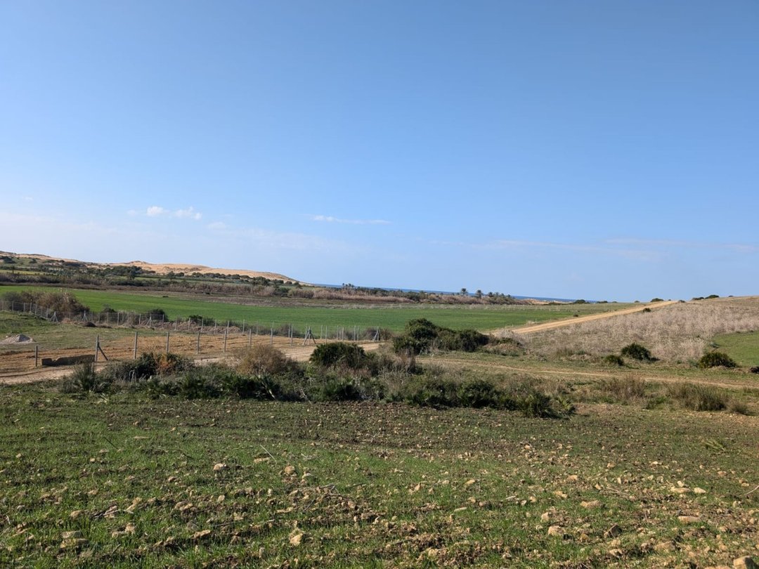 Terreno titulado a la venta - Photo 5