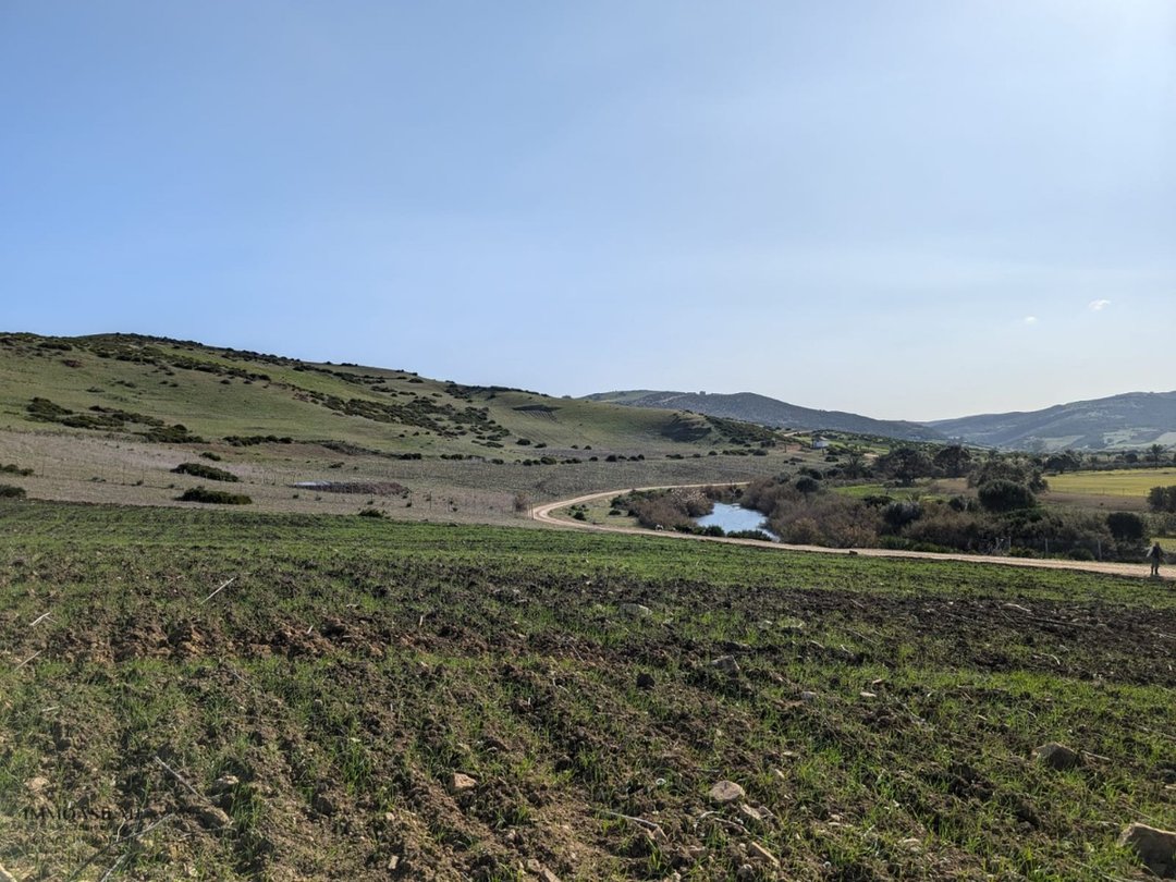 Terreno titulado a la venta - Photo 4