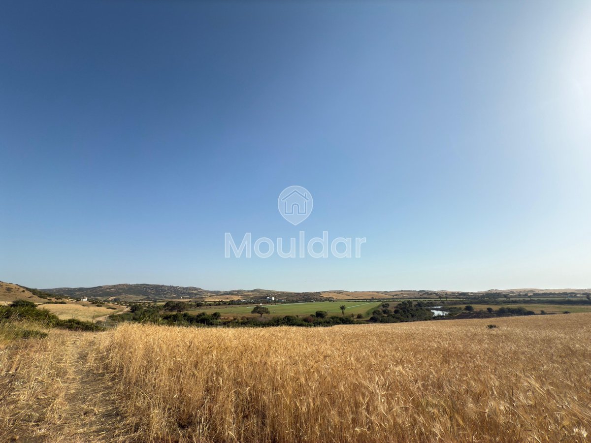 Terrain agricole titré à vendre à Asilah – 16 000 m² - Photo 8