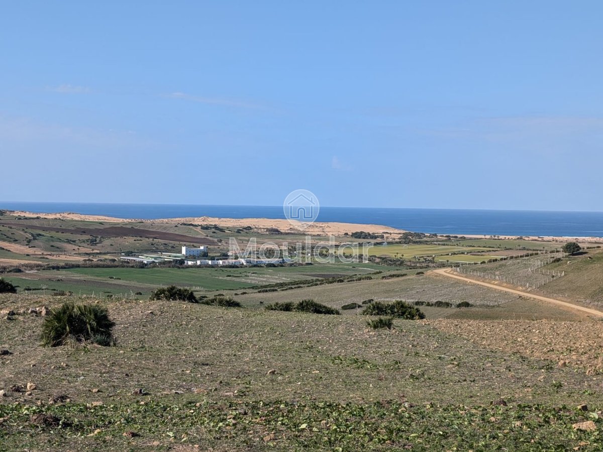 Terrain agricole titré à vendre à Asilah – 16 000 m² - Photo 1