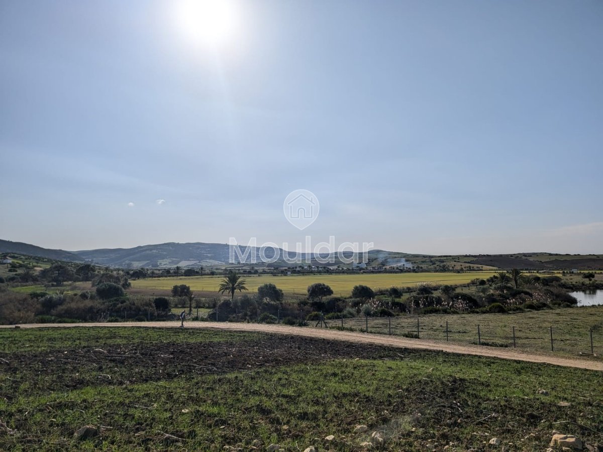 Terrain agricole titré à vendre à Asilah – 16 000 m² - Photo 3