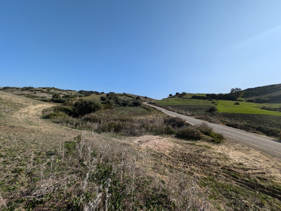 Terreno titulado a la venta - Photo 5