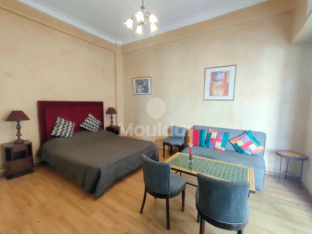 Studio meublé à louer dans le quartier Gauthier - Photo 4