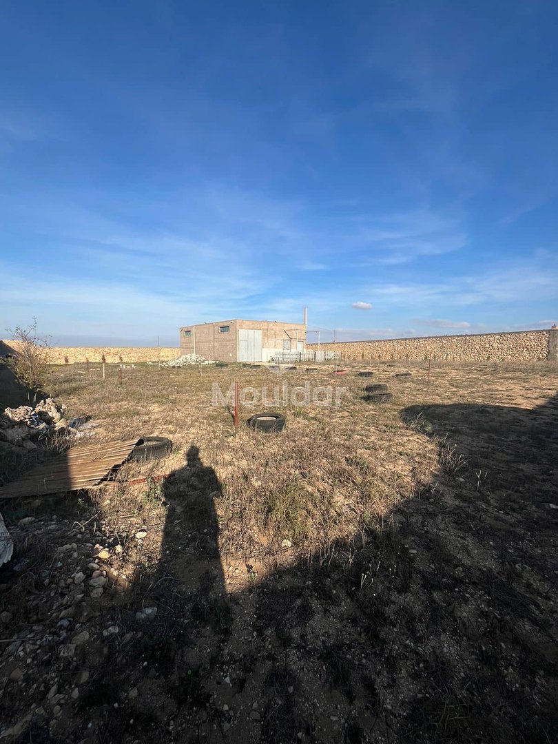 قطعة أرض مسجلة بمساحة 5280م² مع متجر في آسفي - زراعية - Photo 4