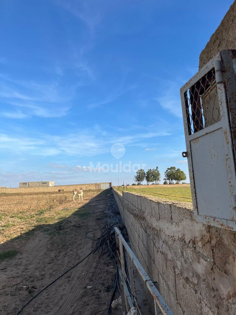 قطعة أرض مسجلة بمساحة 5280م² مع متجر في آسفي - زراعية - Photo 3