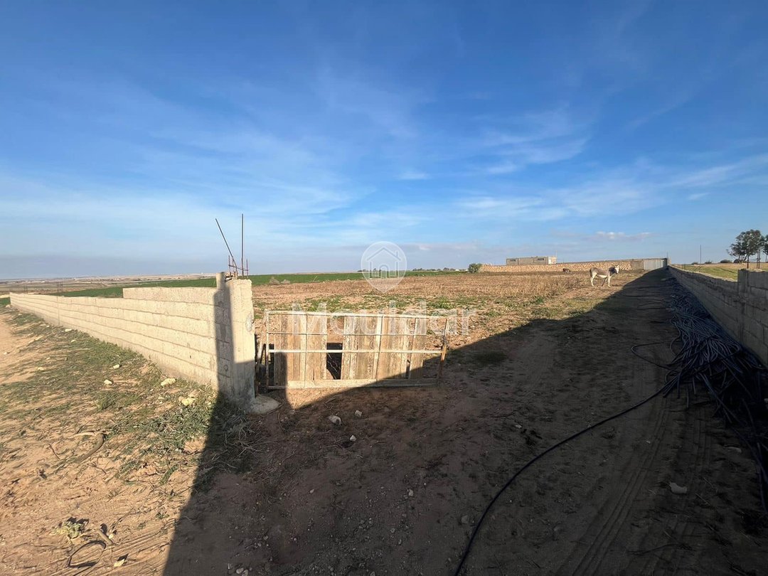 قطعة أرض مسجلة بمساحة 5280م² مع متجر في آسفي - زراعية - Photo 1