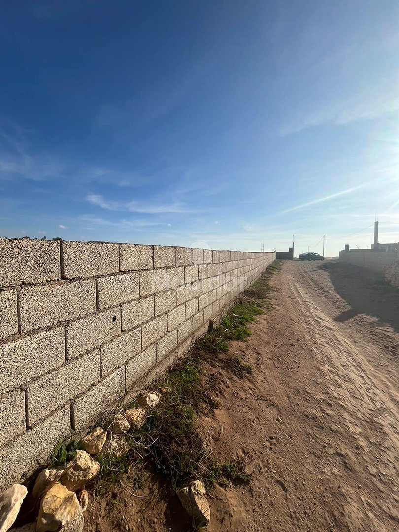 قطعة أرض مسجلة بمساحة 5280م² مع متجر في آسفي - زراعية - Photo 2