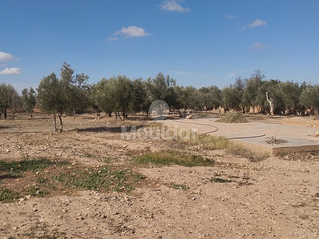 Terreno Agricolo in Vendita a Idouirane - Opportunità Unica - Photo 3