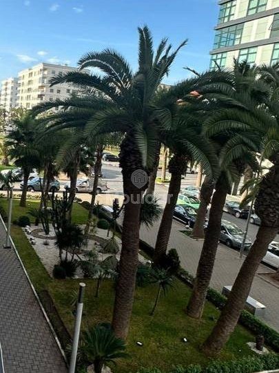 شقة واسعة للإيجار في المحمدية - حي الحديقة - Photo 11