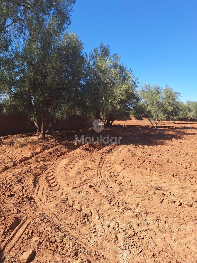 Landbouwgrond te koop in Marrakech - Sidi Abdellah Ghiat - Photo 2