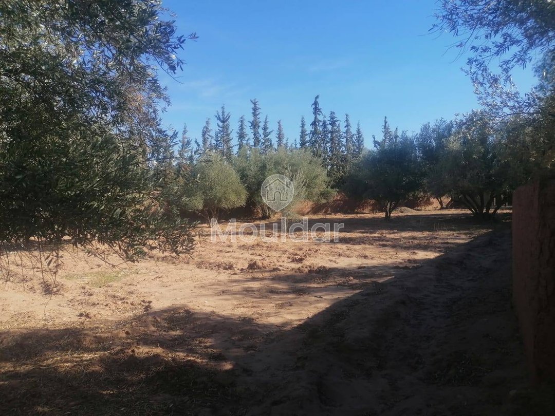 Landbouwgrond te koop in Marrakech - Sidi Abdellah Ghiat - Photo 1