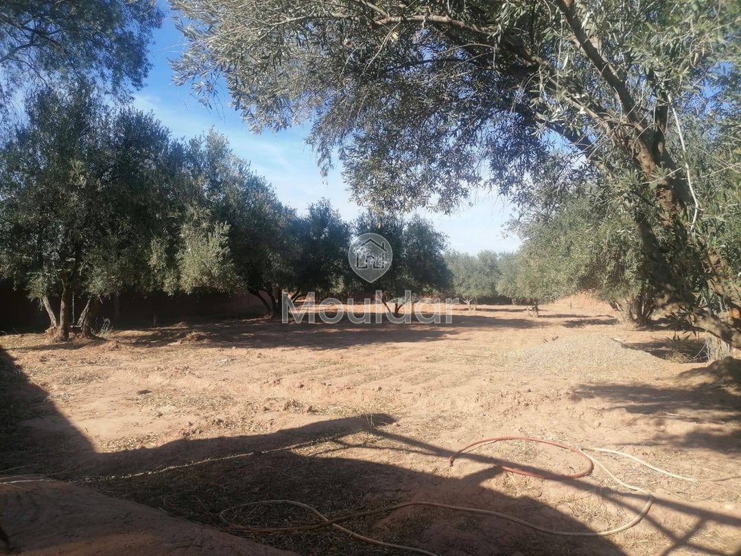 Landbouwgrond te koop in Marrakech - Sidi Abdellah Ghiat - Photo 7