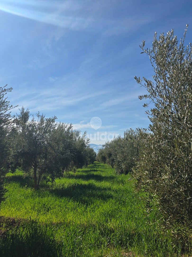 Terreno Agrícola de 20,000 m² en Venta en Marrakech - Photo 1