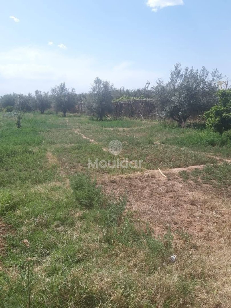 Grond te Koop in Marrakech - Unieke Kans - Photo 6