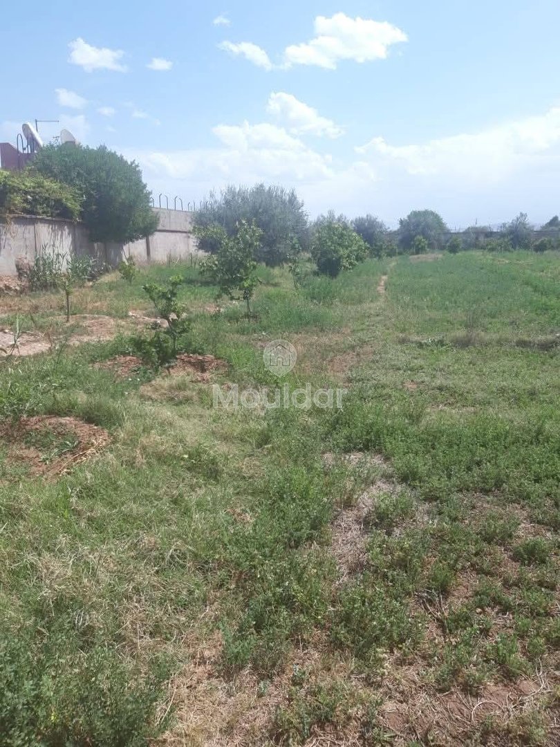 Grond te Koop in Marrakech - Unieke Kans - Photo 5