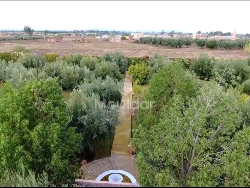 Grond te Koop in Marrakech - Unieke Kans - Photo 11