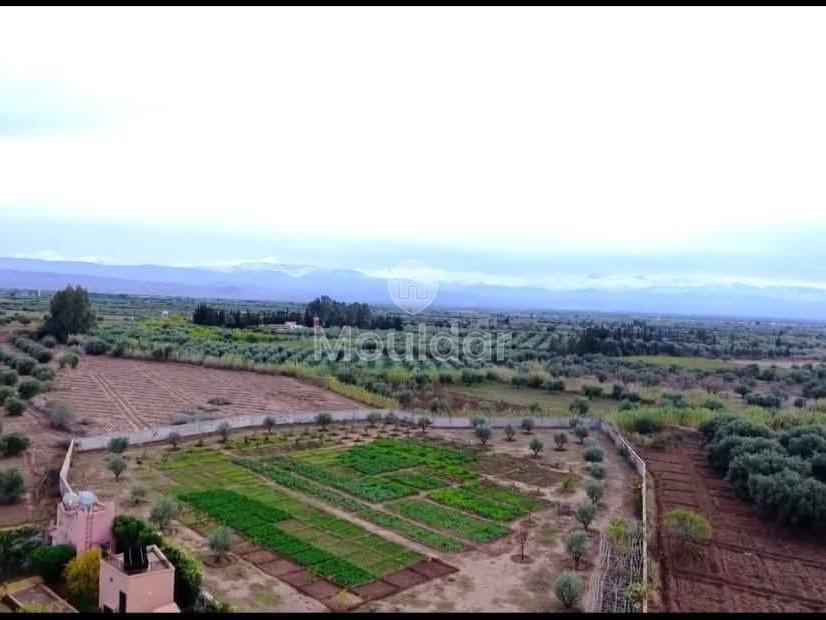 Grond te Koop in Marrakech - Unieke Kans - Photo 1