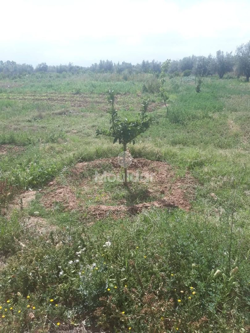 Grond te Koop in Marrakech - Unieke Kans - Photo 8