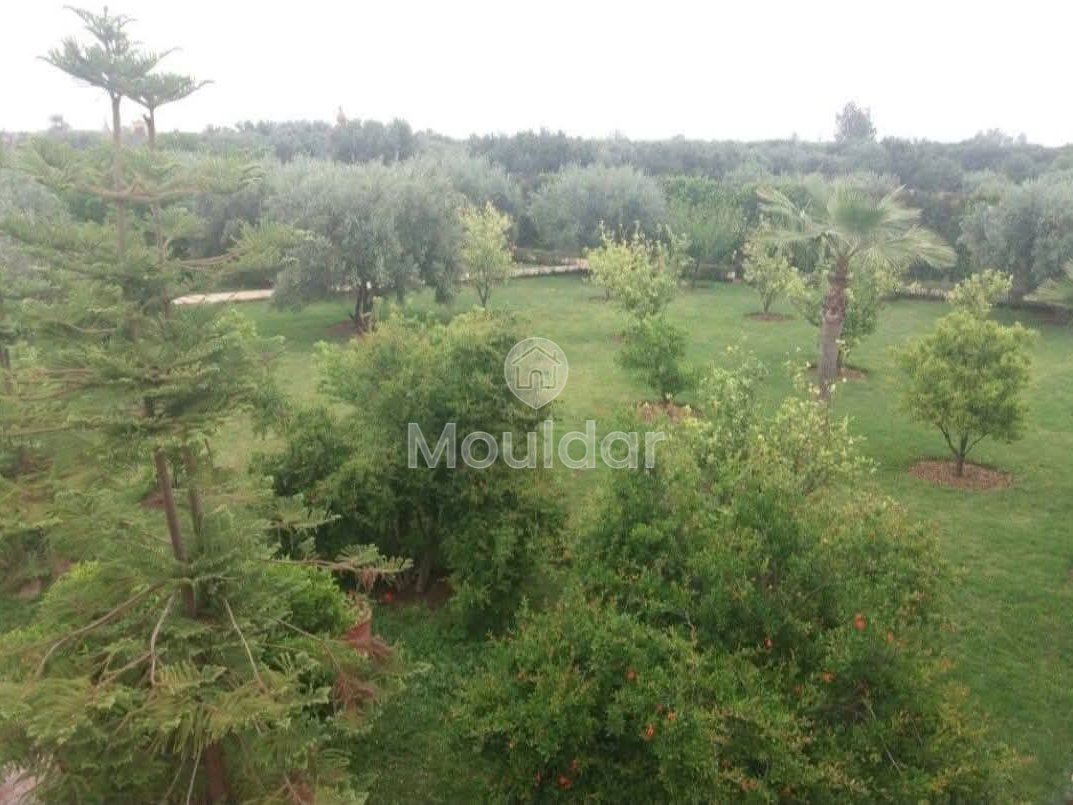 Grond te Koop in Marrakech - Unieke Kans - Photo 9