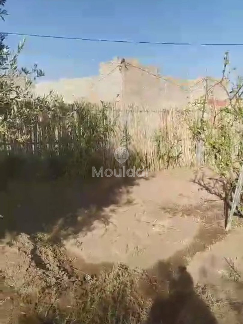 أرض زراعية للبيع في مراكش - فرصة استثنائية - Photo 5