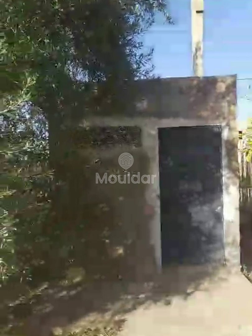 أرض زراعية للبيع في مراكش - فرصة استثنائية - Photo 9