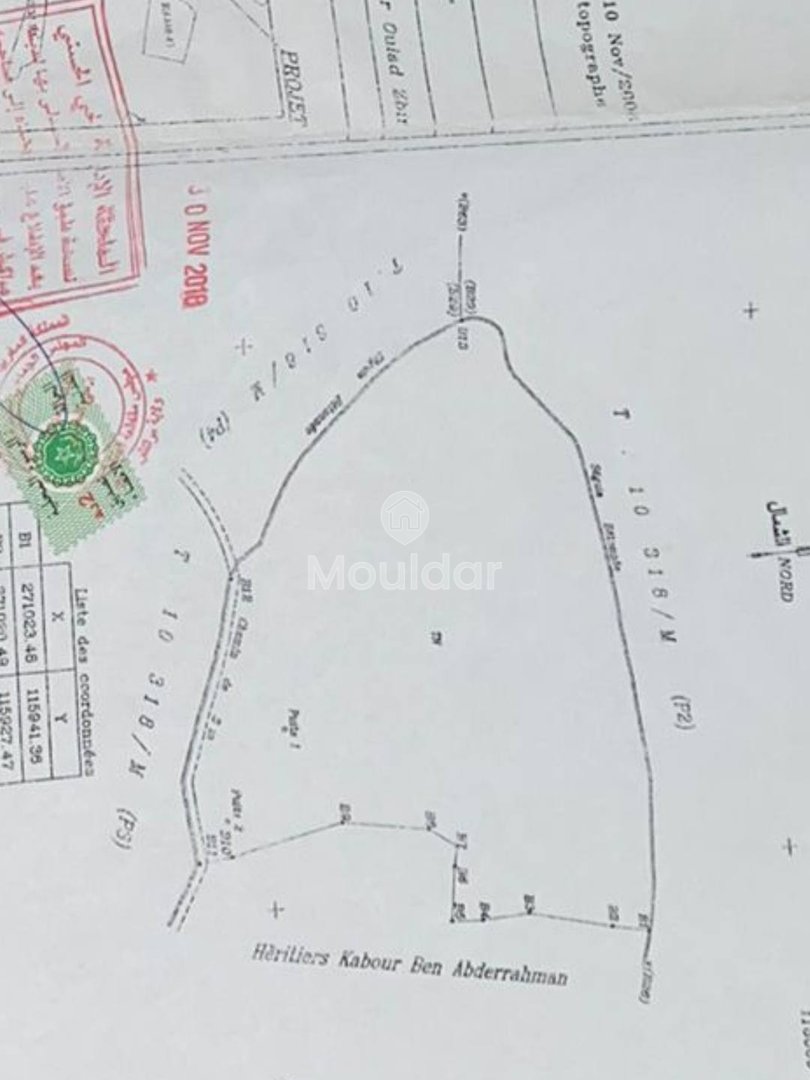 Agrarisch Perk in Verkoop in Marrakech - 20.000 m² Uitzonderlijk - Photo 6