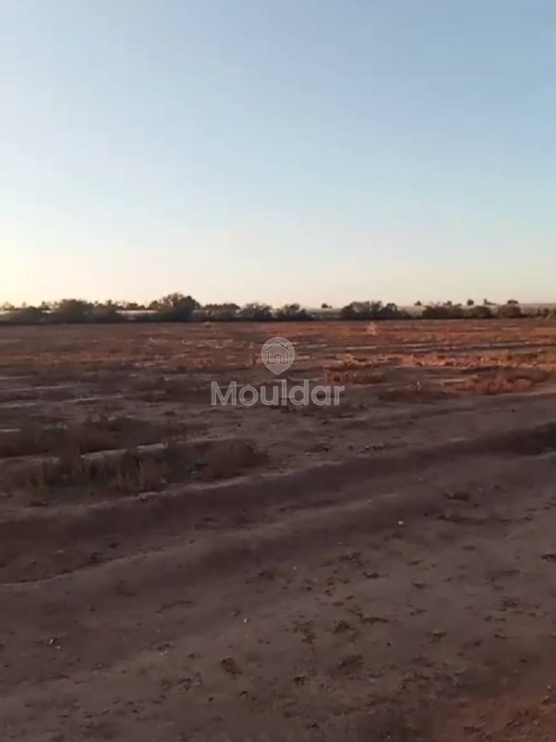 Agrarisch Perk in Verkoop in Marrakech - 20.000 m² Uitzonderlijk - Photo 3