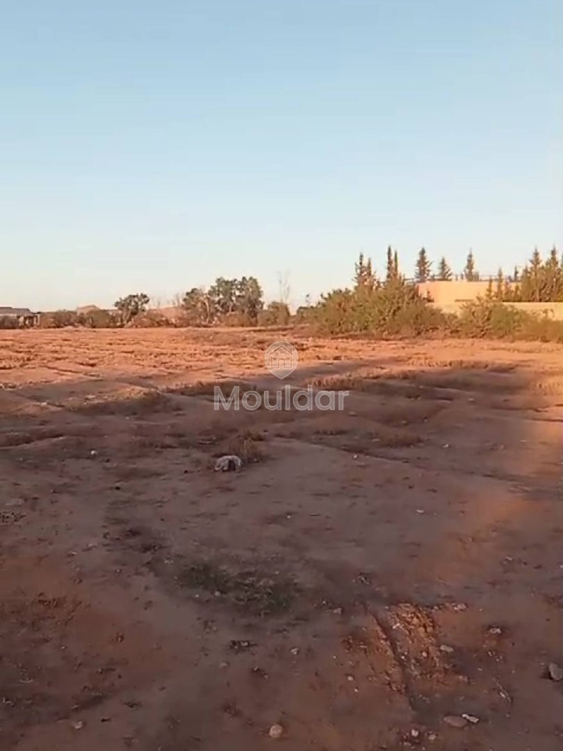 Agrarisch Perk in Verkoop in Marrakech - 20.000 m² Uitzonderlijk - Photo 2