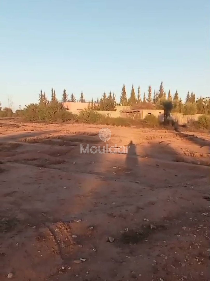 Agrarisch Perk in Verkoop in Marrakech - 20.000 m² Uitzonderlijk - Photo 4