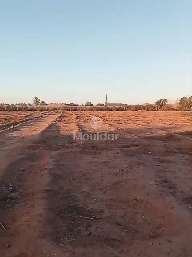 Agrarisch Perk in Verkoop in Marrakech - 20.000 m² Uitzonderlijk - Photo 1