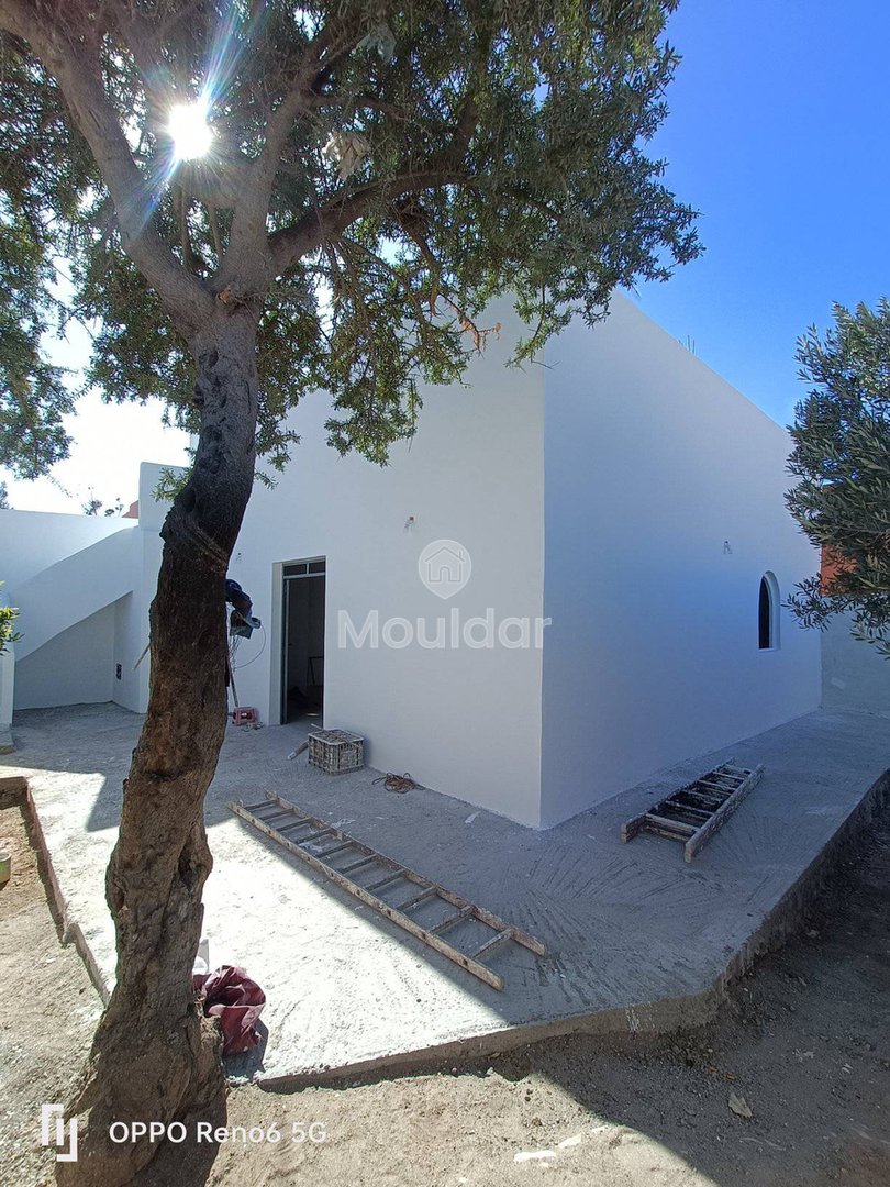 Maison à Louer à Essaouira : Confort et Charmante Évasion - Photo 2