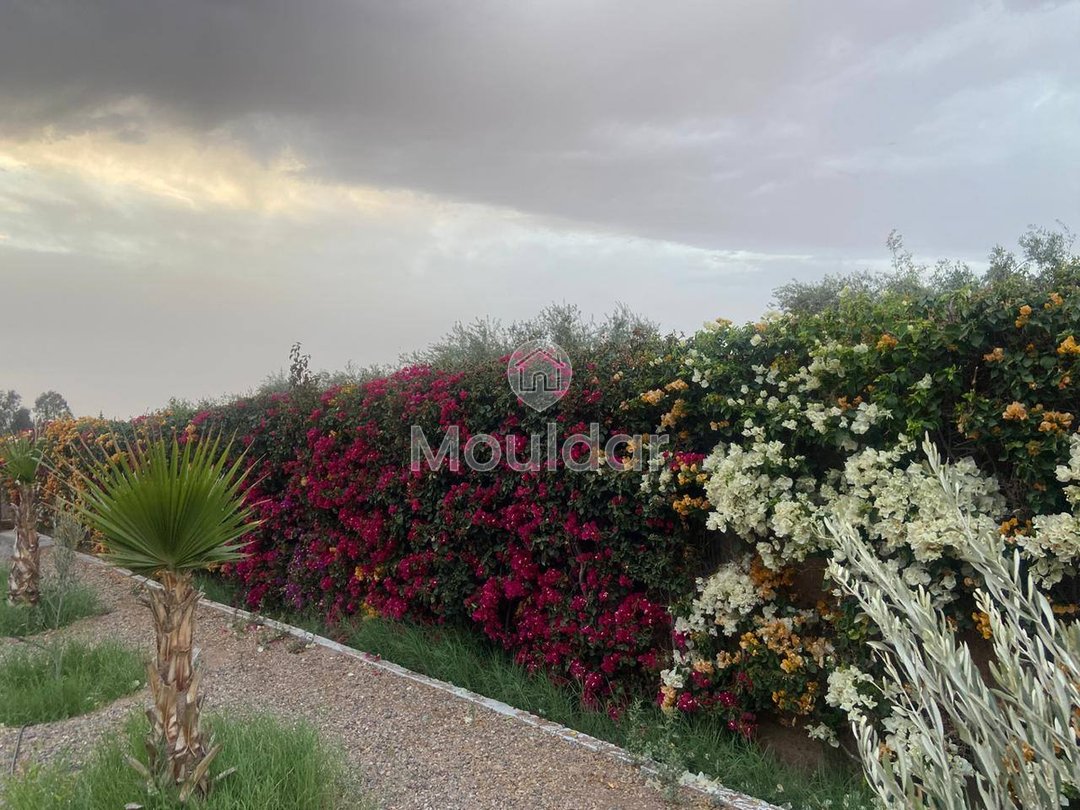 Βίλα Πολυτελείας προς Πώληση στη Μαρασκές - 4000 m² Αποκλειστική Έκταση - Photo 10