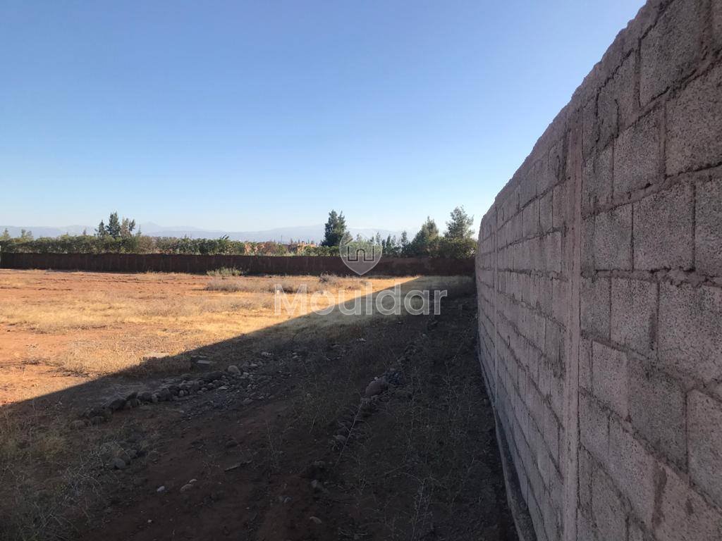 Terreno agricolo in vendita a Marrakech - Opportunità unica - Photo 3