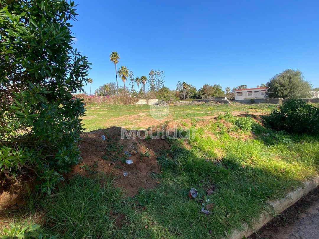 Γη προς πώληση Rabat-Souissi: 2600 m² για βίλες - Photo 8