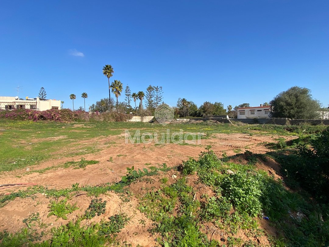 Γη προς πώληση Rabat-Souissi: 2600 m² για βίλες - Photo 4