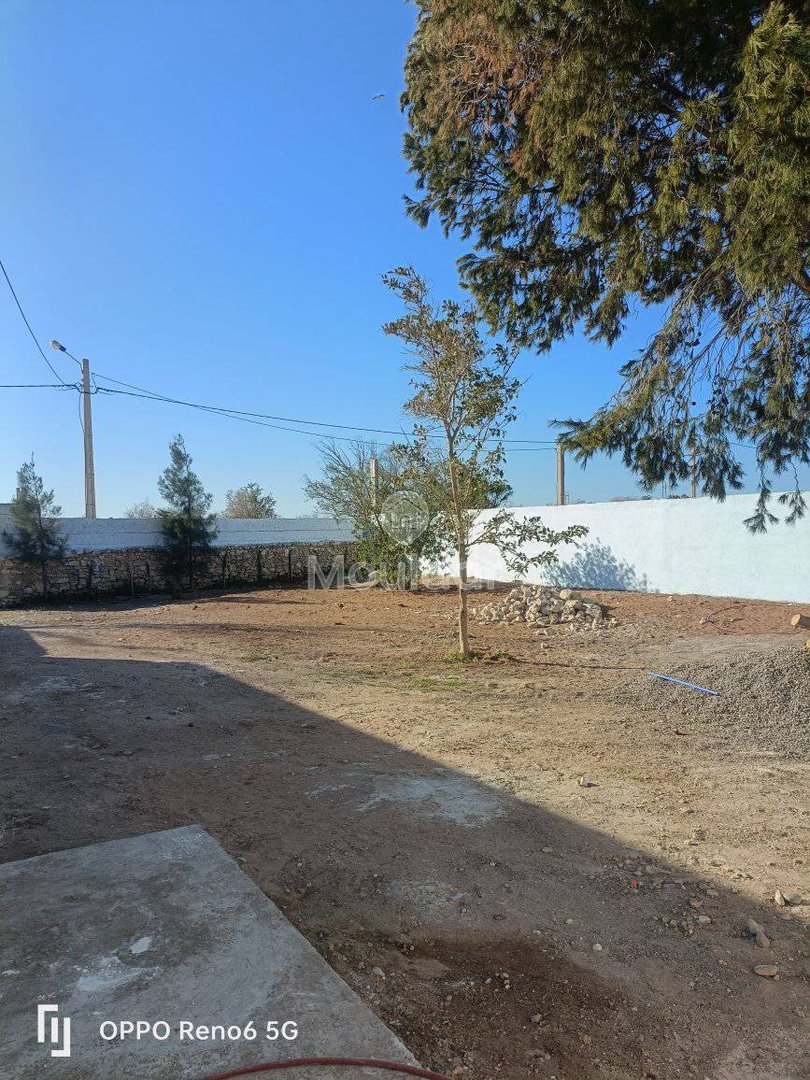 Casă fermecătoare de închiriat în Essaouira - Ideală și spațioasă - Photo 17