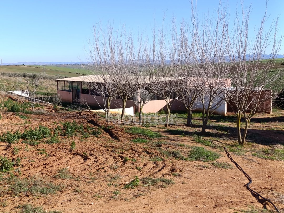 Fermă de vânzare în Tifelt: 50.000 m² - Photo 25