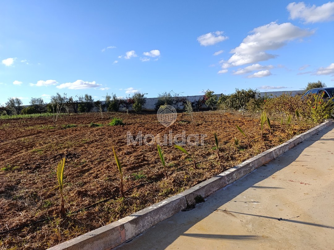 Fermă de vânzare în Tifelt: 50.000 m² - Photo 17