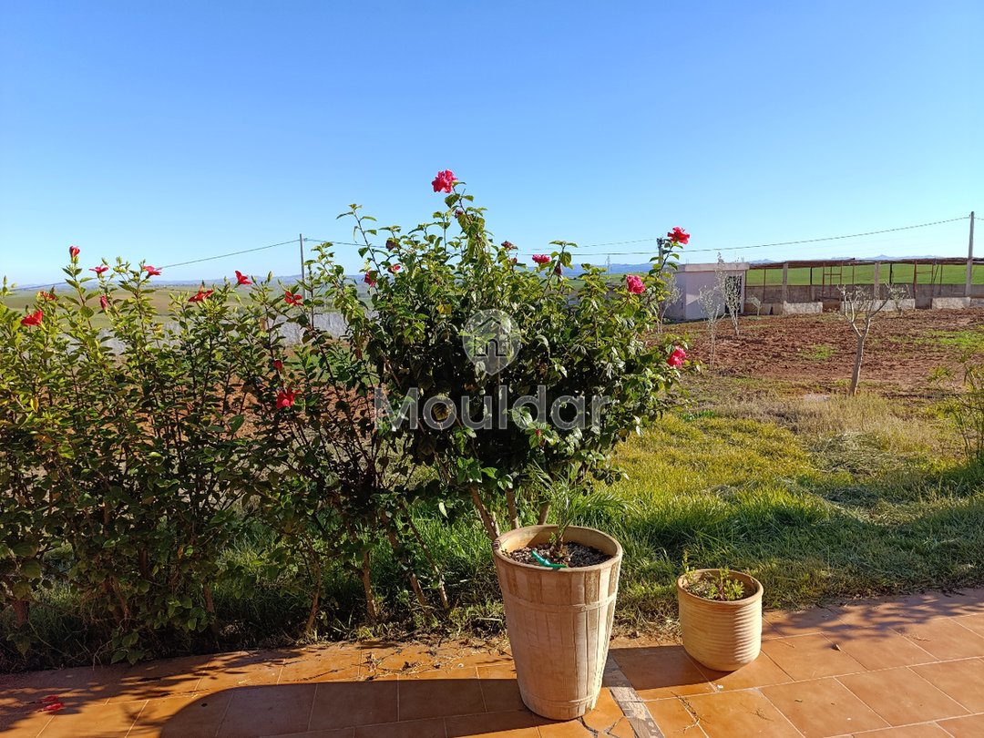 Fermă de vânzare în Tifelt: 50.000 m² - Photo 20