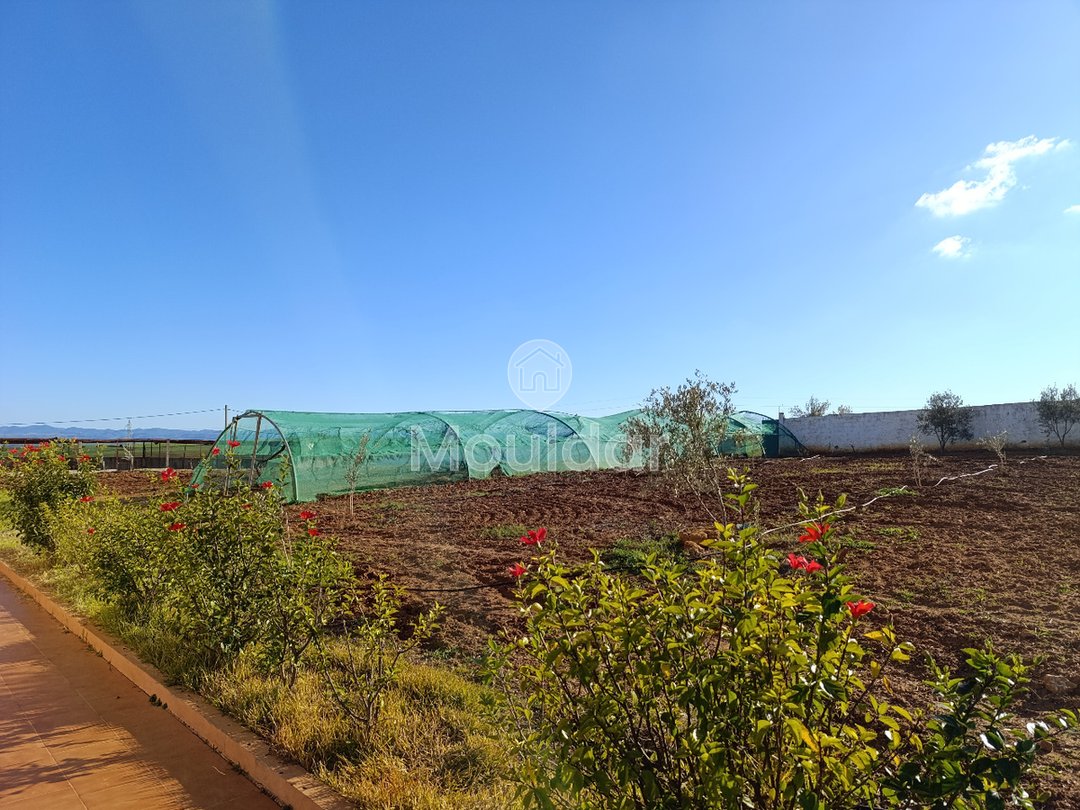 Fermă de vânzare în Tifelt: 50.000 m² - Photo 22