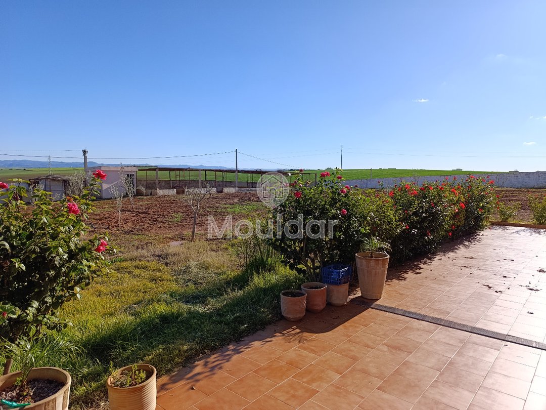 Fermă de vânzare în Tifelt: 50.000 m² - Photo 19