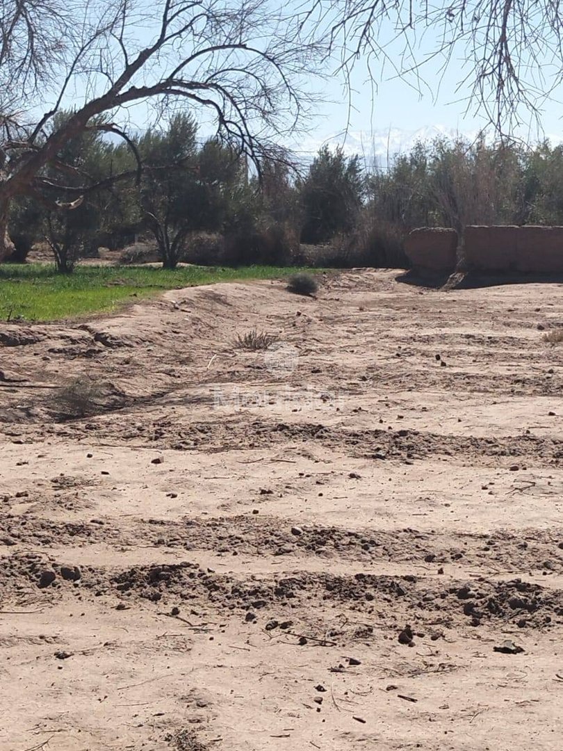 Teren agricol spre vânzare în Marrakech: 35.000 m² de oportunități - Photo 3