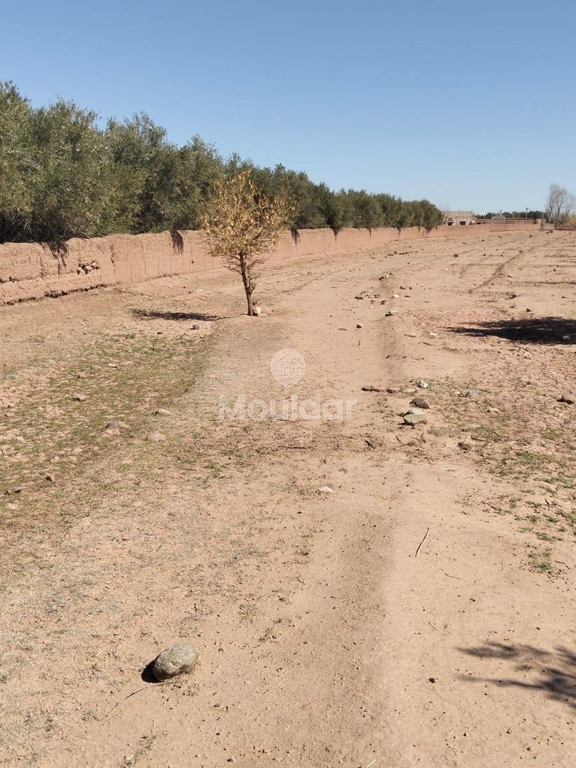 Teren agricol spre vânzare în Marrakech: 35.000 m² de oportunități - Photo 6
