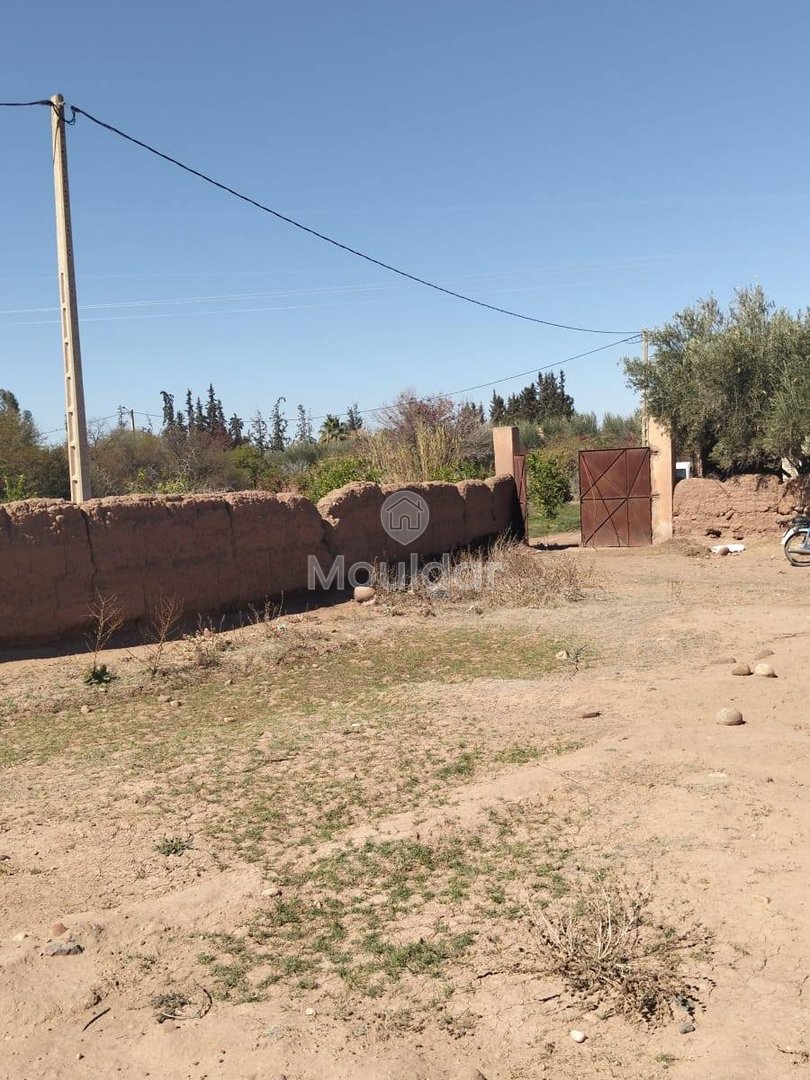 Teren agricol spre vânzare în Marrakech: 35.000 m² de oportunități - Photo 1