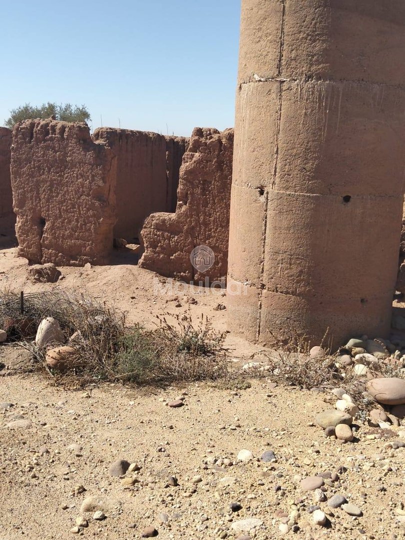 Teren agricol spre vânzare în Marrakech: 35.000 m² de oportunități - Photo 2