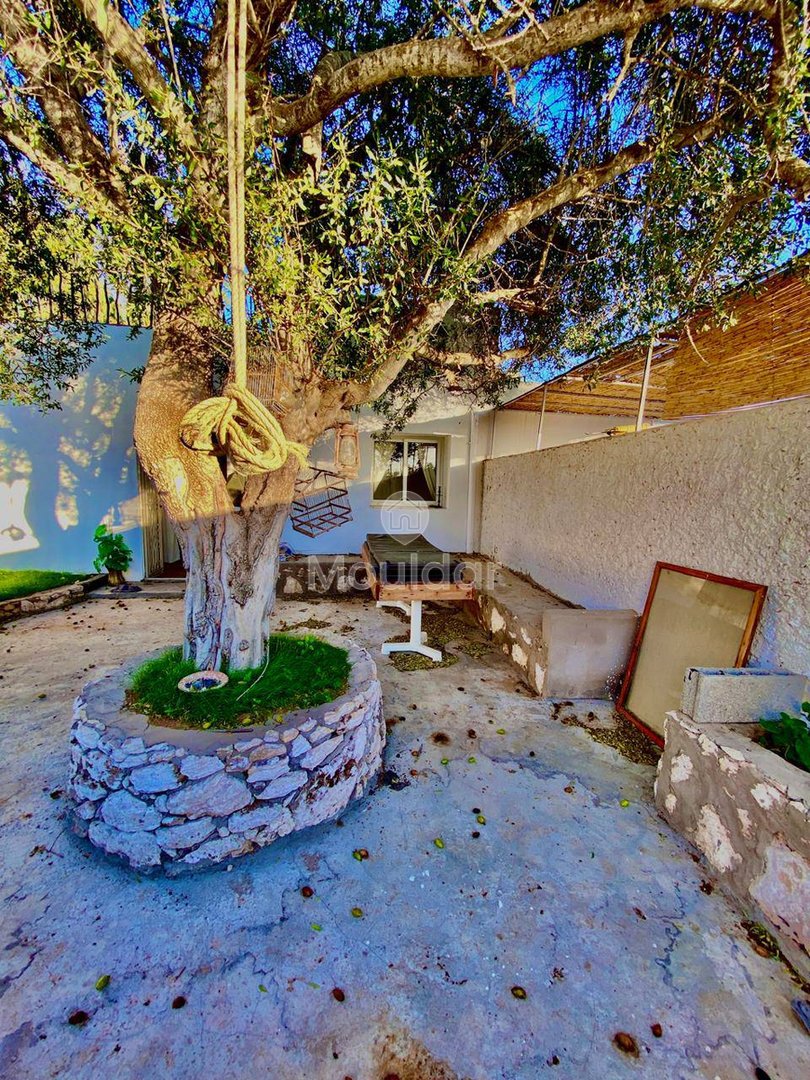 منزل ساحر للإيجار في الصويرة: مثالي لكم - Photo 10