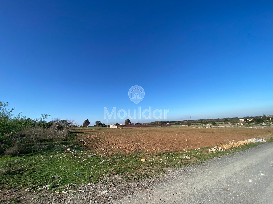 Wyjątkowa oferta: teren rolny o powierzchni 6883 m² w El Menzeh - Photo 3